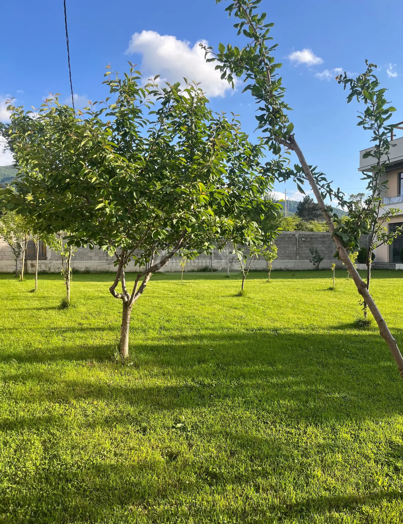 6 Room Private House For Sale view 8
