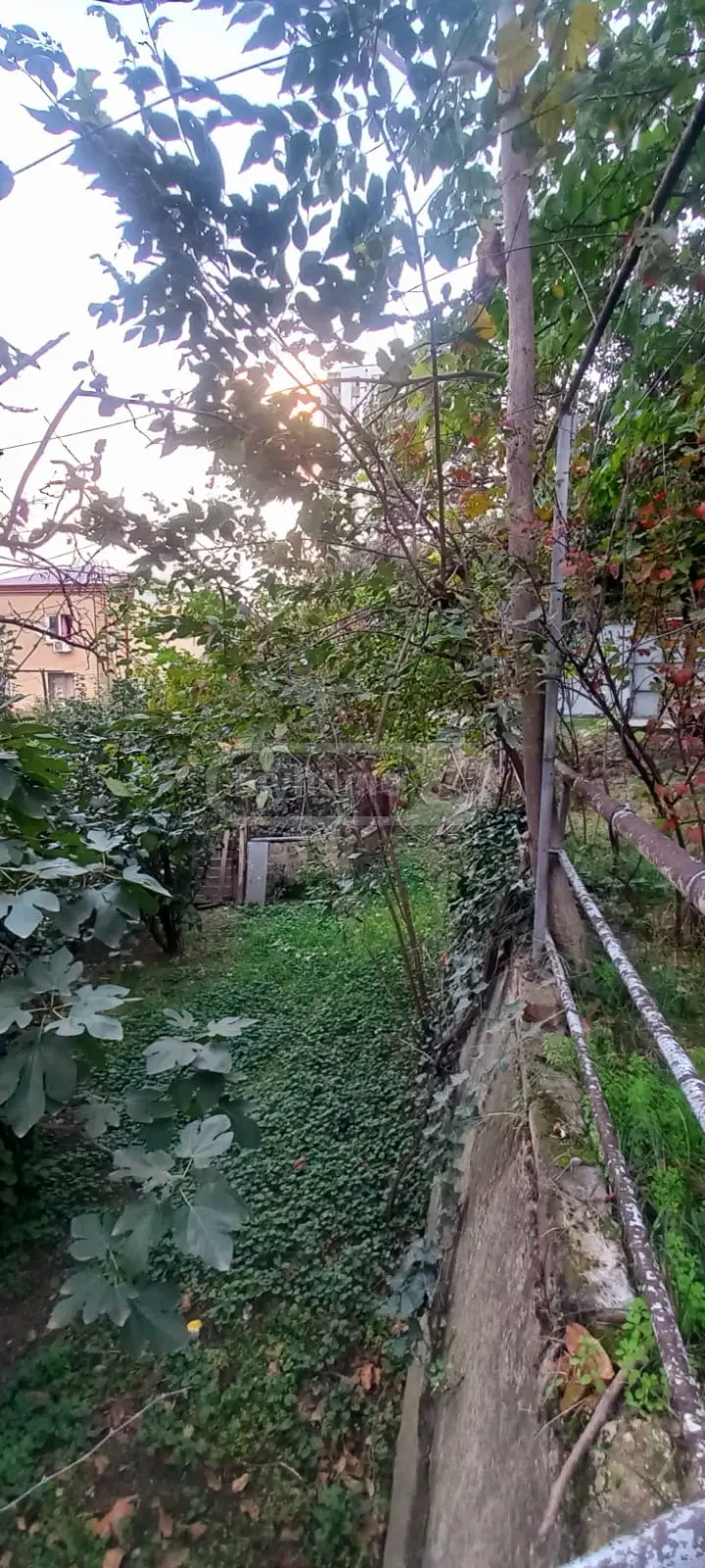 Non-Agricultural Plot For Sale In Ortachala view 4