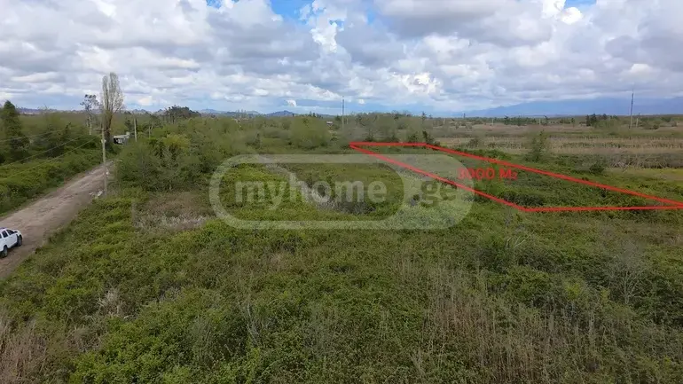 Agricultural Plot For Sale In Natanebi, In Ozurgeti Municipality view 2