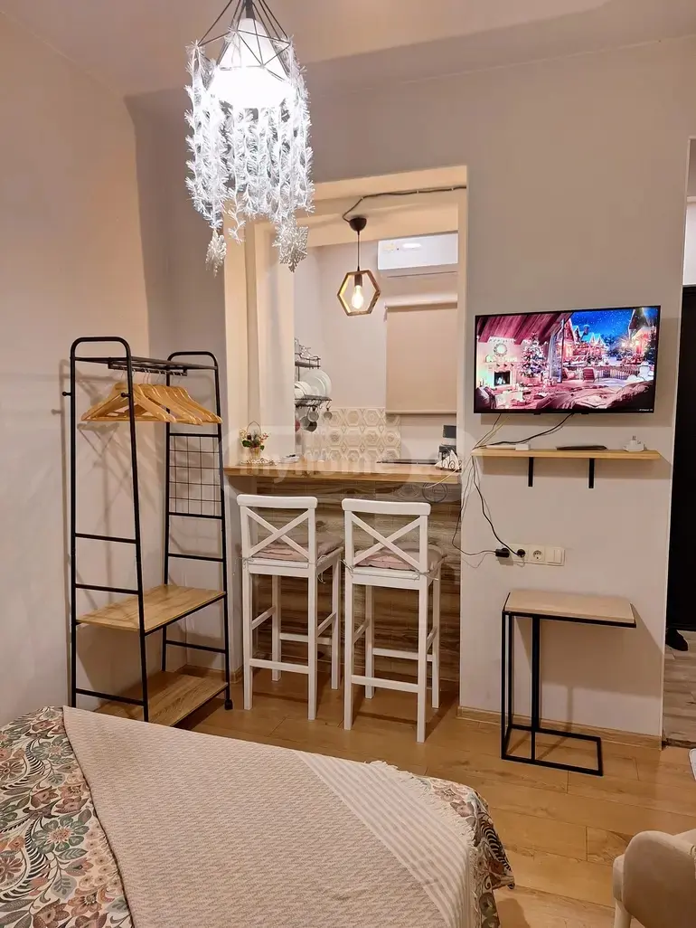 1 Room Apartment For Rent In Sololaki view 1