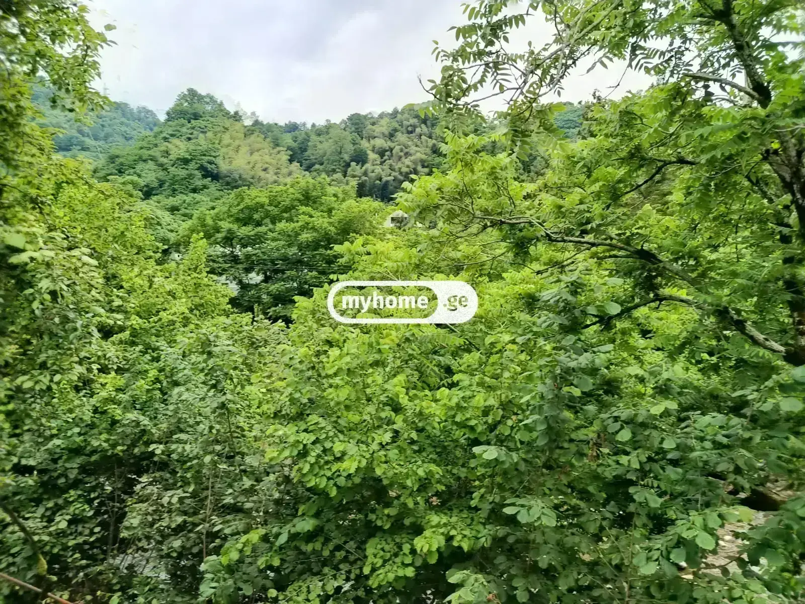 2 Room Private House For Rent In Makhinjauri, In Batumi view 8