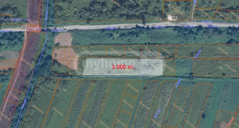 Agricultural Plot For Sale In Natanebi, In Ozurgeti Municipality view 7