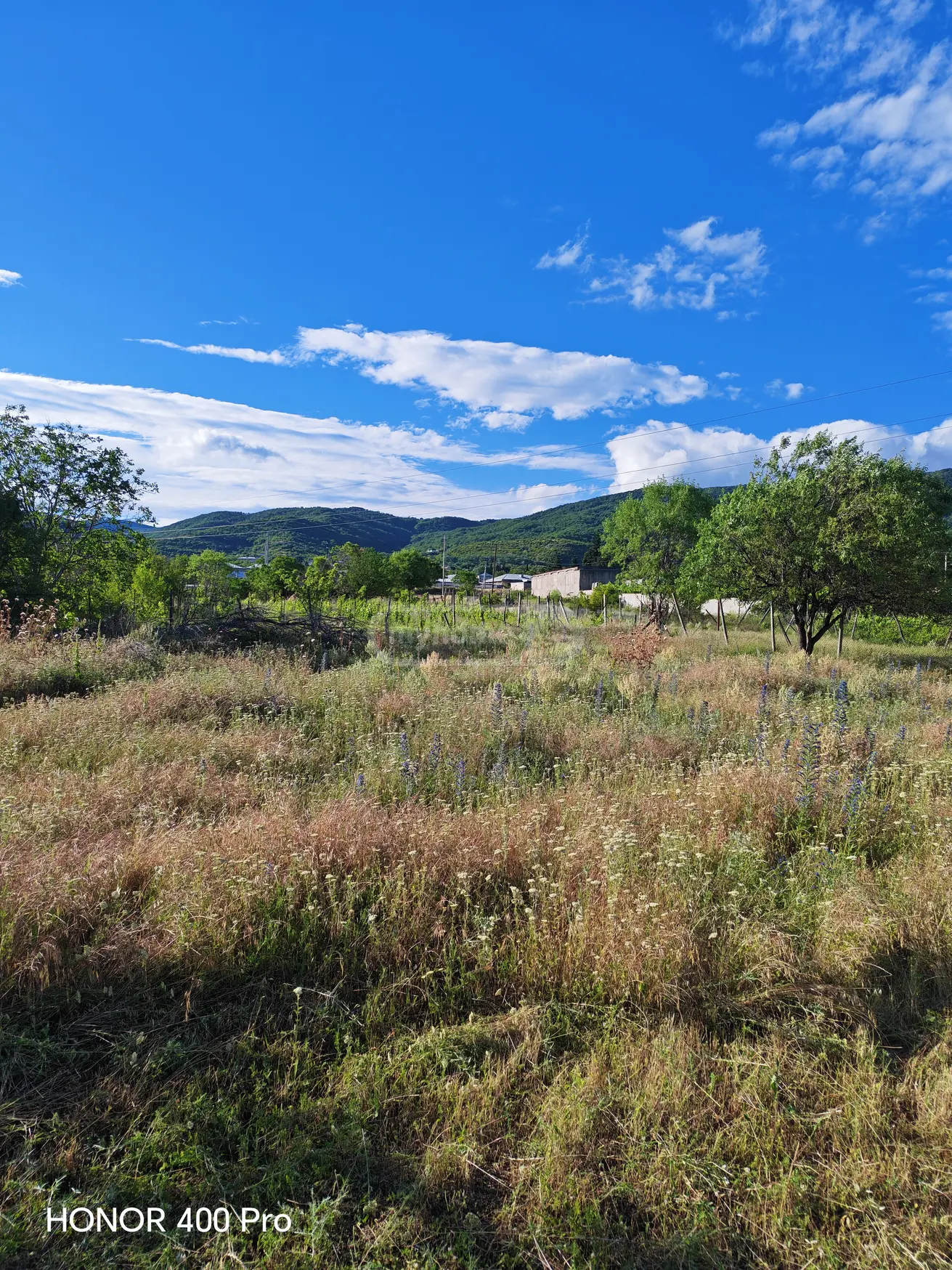იყიდება Agricultural Plot In Ninotsminda, In Sagarejo Municipalityში view 2