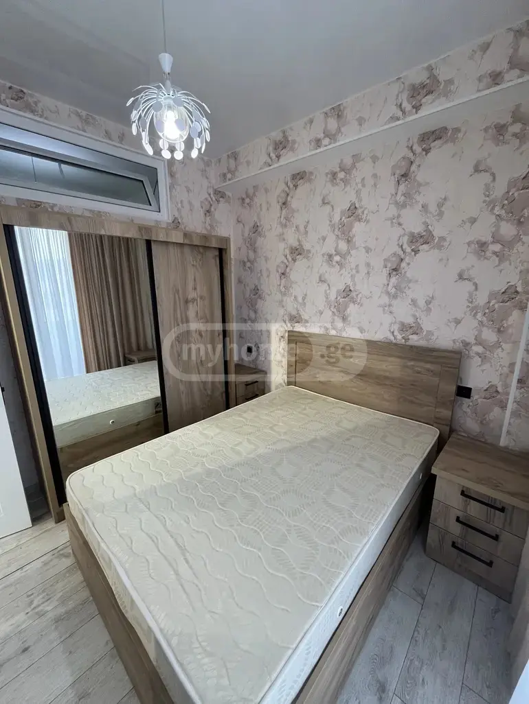 3 Room Apartment For Rent In Nadzaladevi view 5
