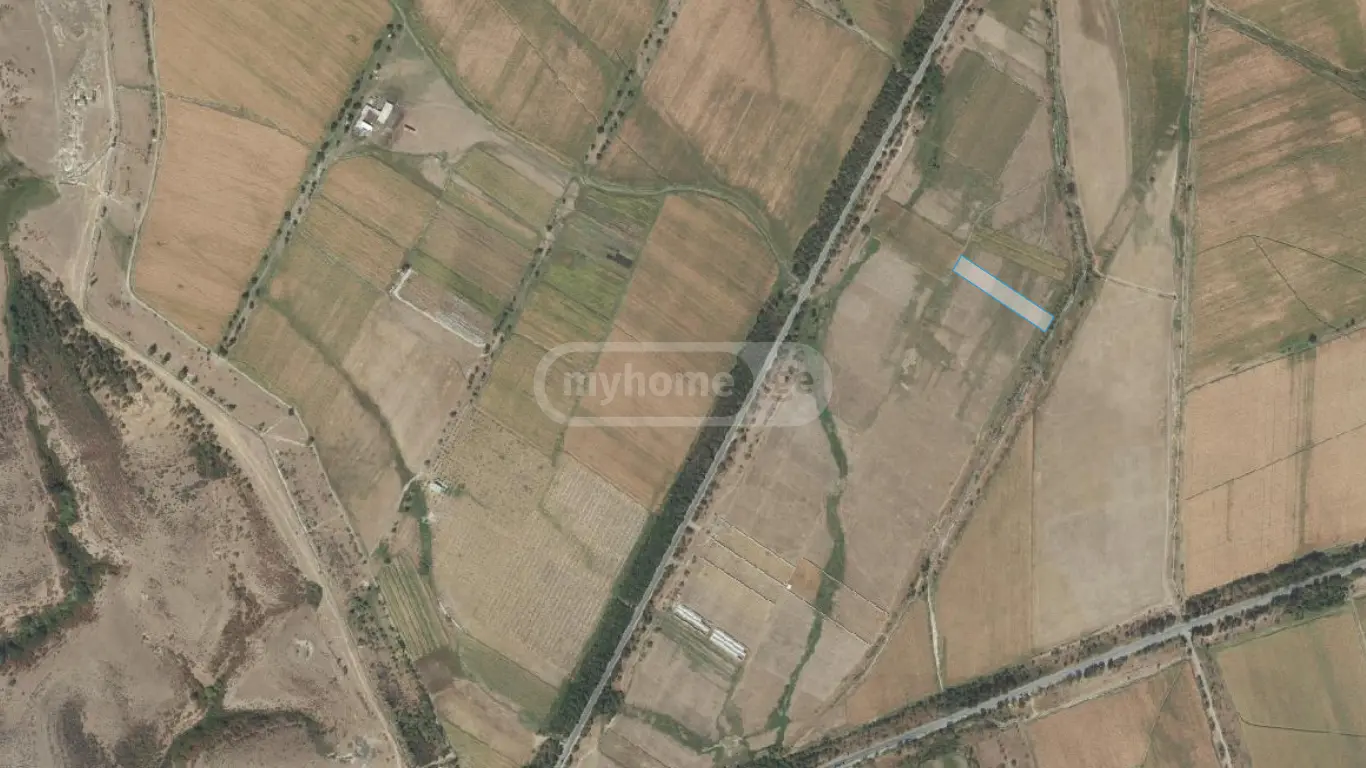 Agricultural Plot For Sale In Gardabani view 2