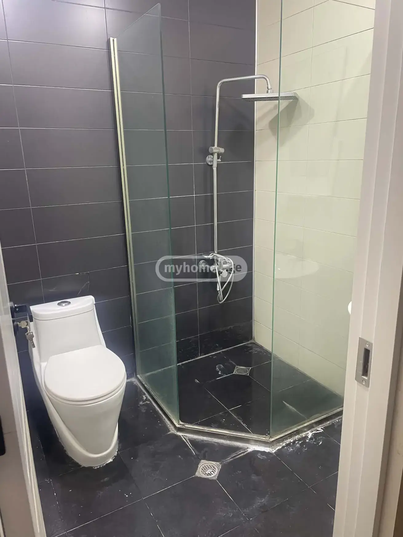 3 Room Apartment For Rent In Nadzaladevi view 7