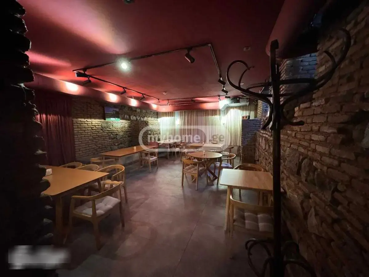 Universal Commercial Area For Rent In Sololaki view 4