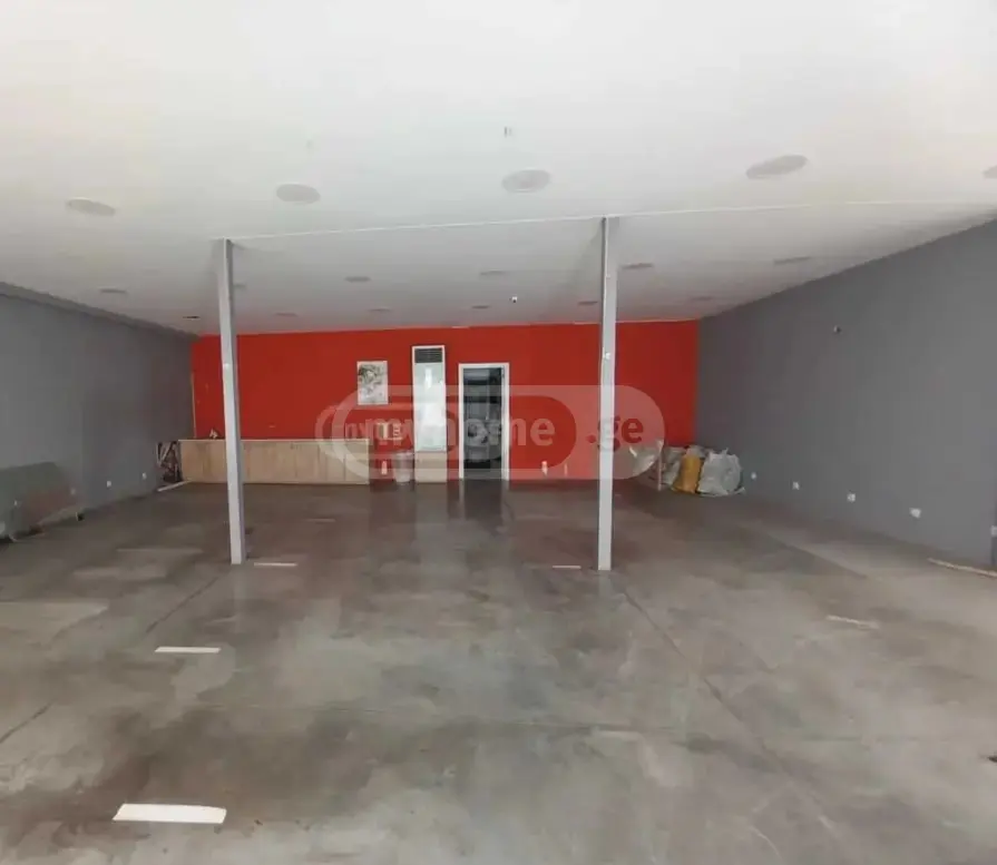 Universal Commercial Area For Rent In Nadzaladevi view 2