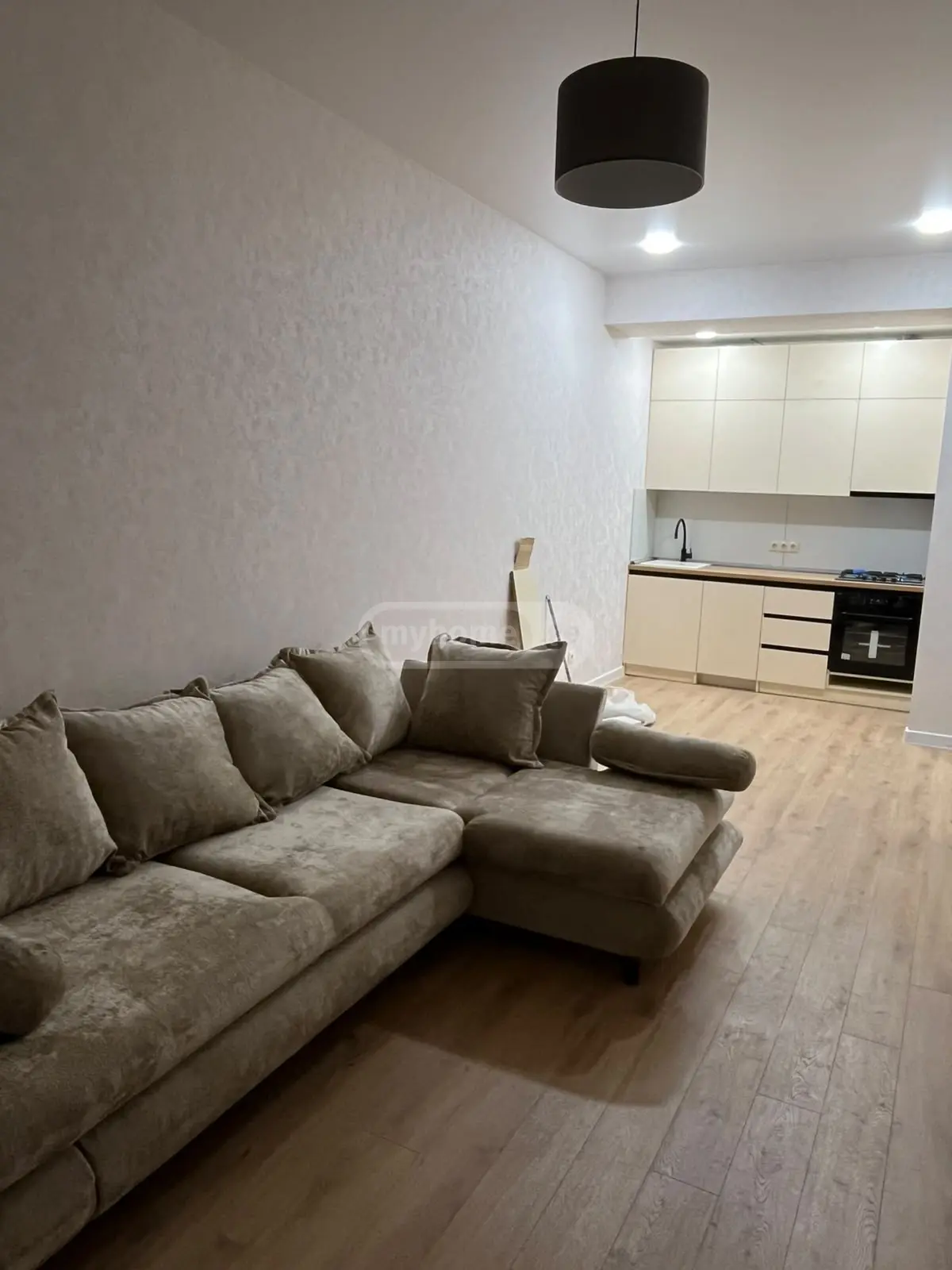2 Room Apartment For Rent In Saburtalo view 1