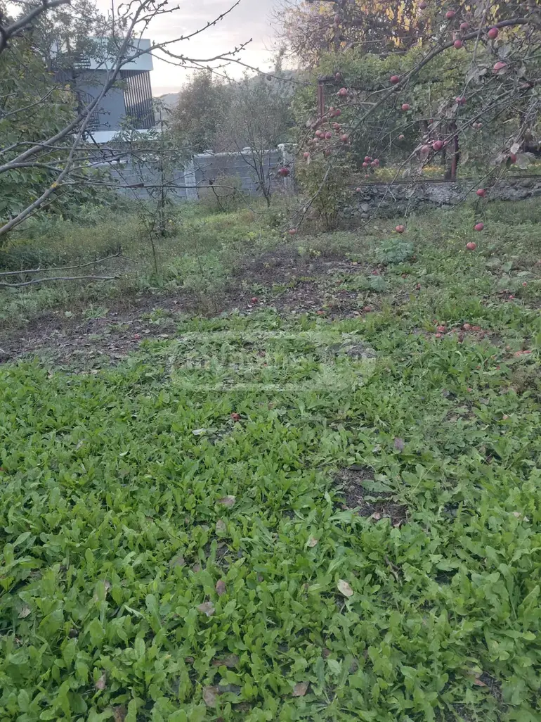 Agricultural Plot For Sale In Saguramo, In Mtskheta Municipality view 3