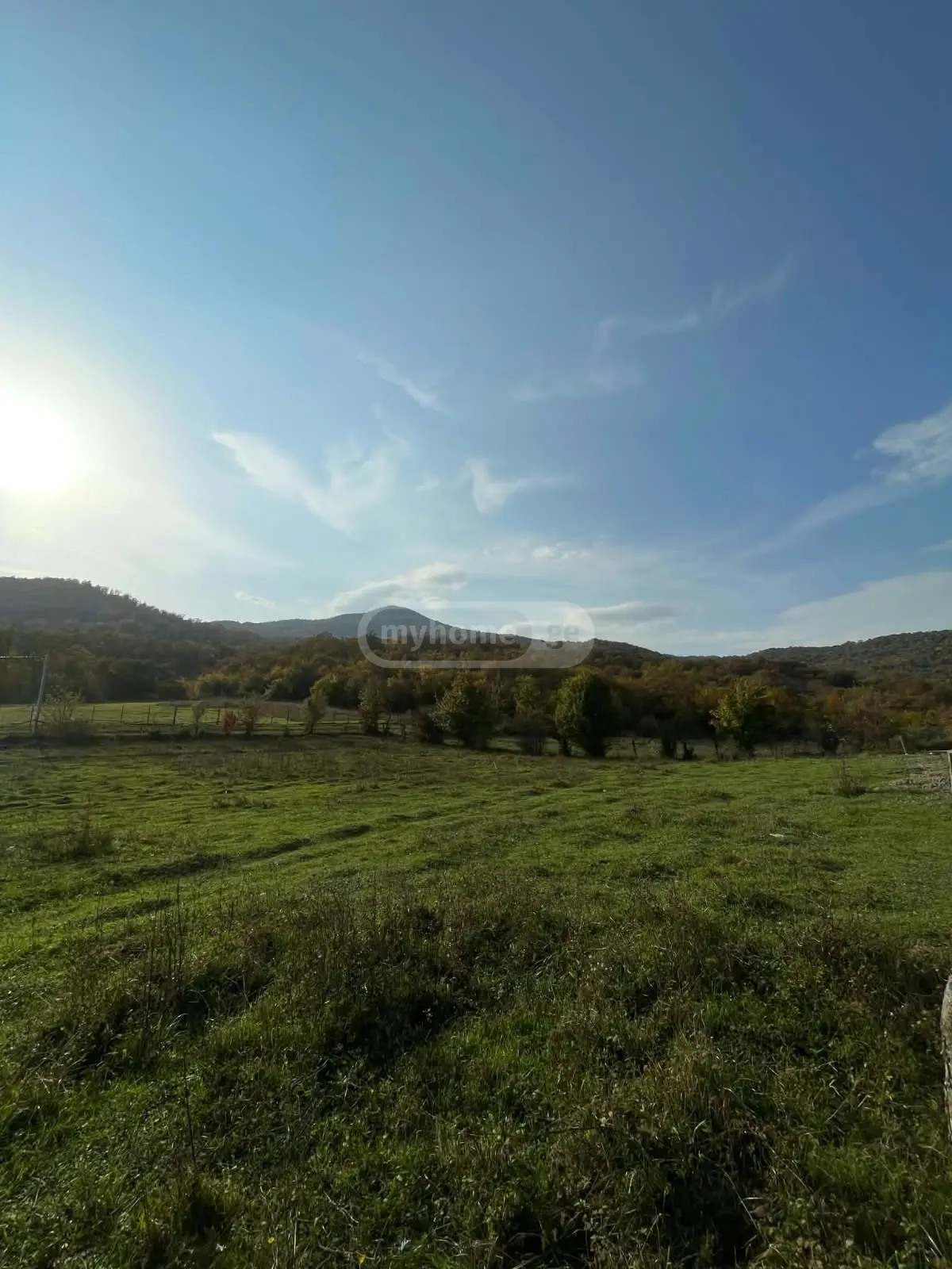 Agricultural Plot For Sale In Kochbaani, In Sagarejo Municipality view 6