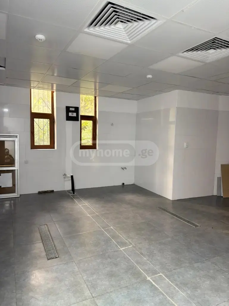 Food Object Commercial Area For Rent In Isani view 13