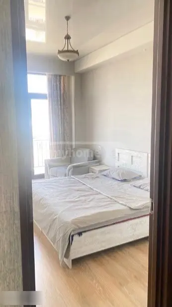 2 Room Apartment Daily Rent In Varketili view 2