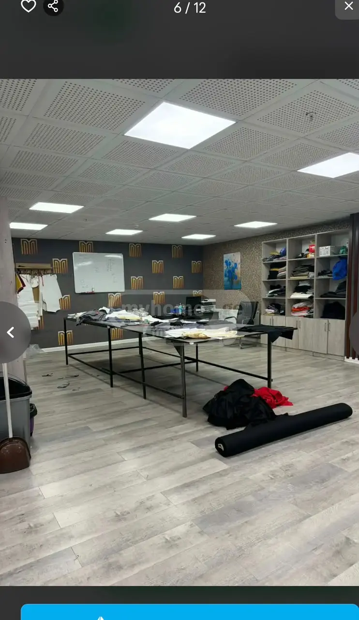 Universal Commercial Area For Rent In Nadzaladevi view 3