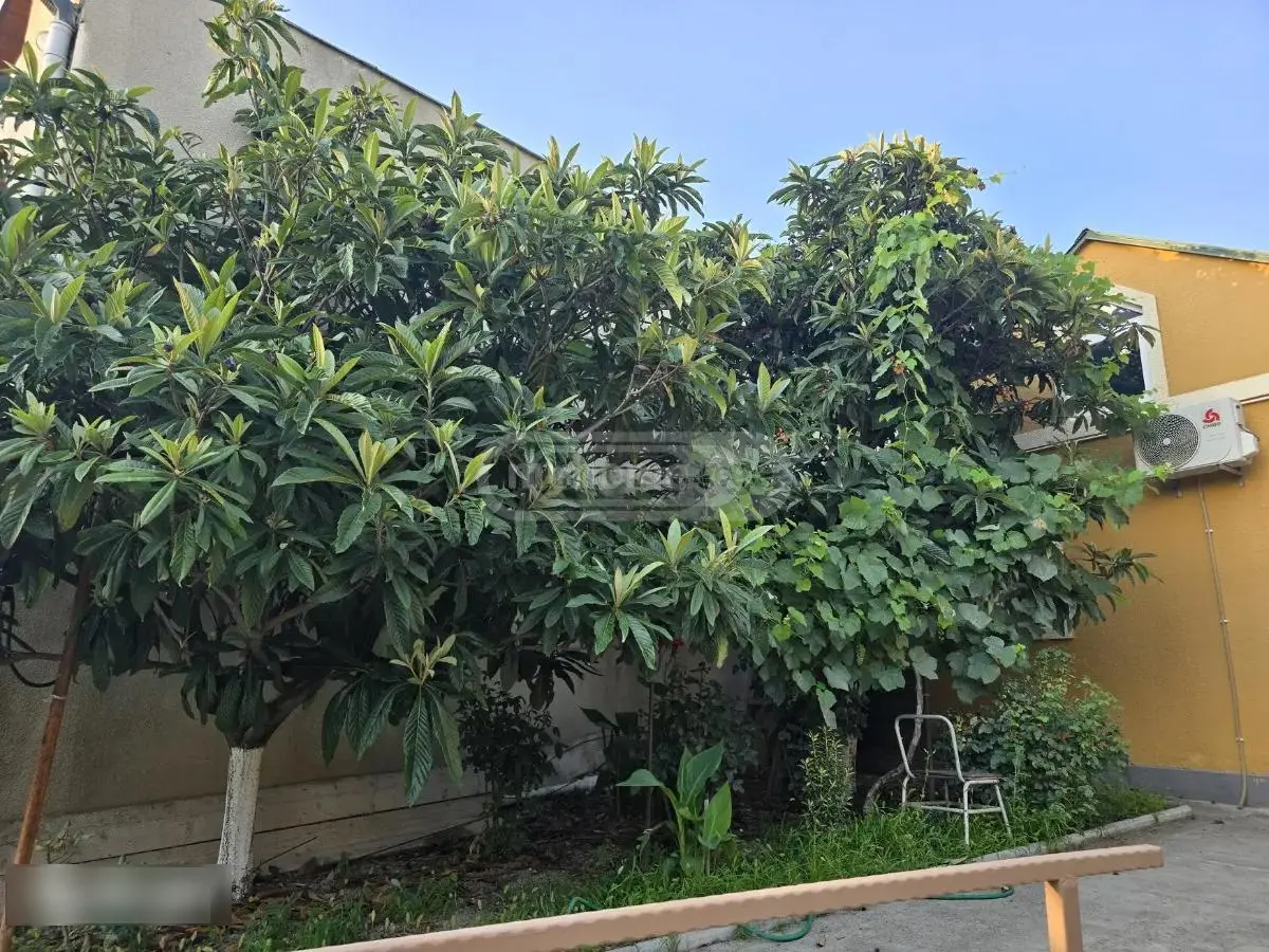 4 Room Private House For Rent In Isani view 11