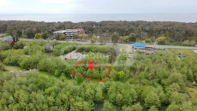 Agricultural Plot For Sale In Grigoleti, In Lanchkhuti Municipality view 1