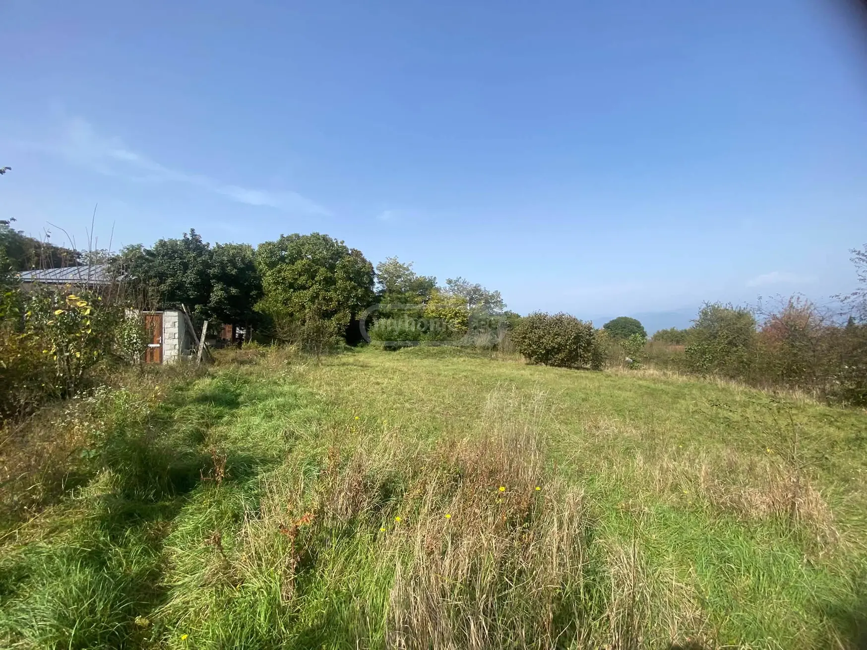 Agricultural Plot For Sale In Vardisubani, In Telavi Municipality view 3