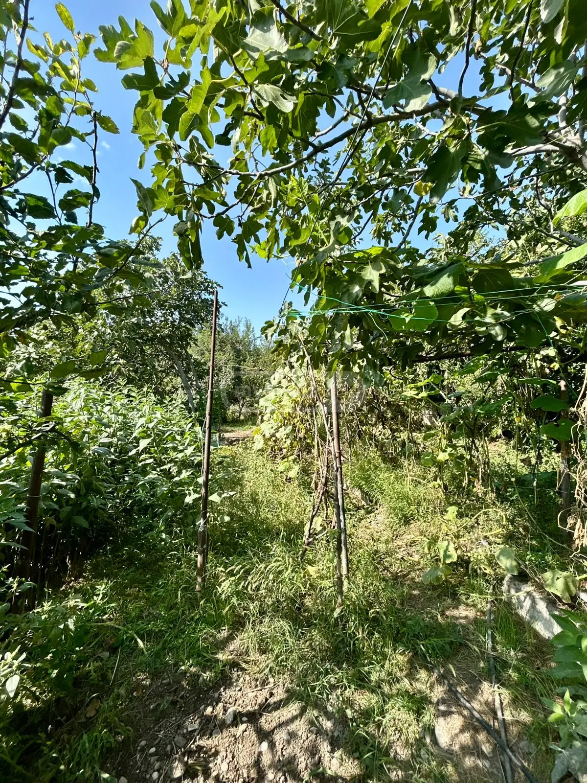 Non-Agricultural Plot For Sale In Gamarjveba, In Gardabani Municipality view 5