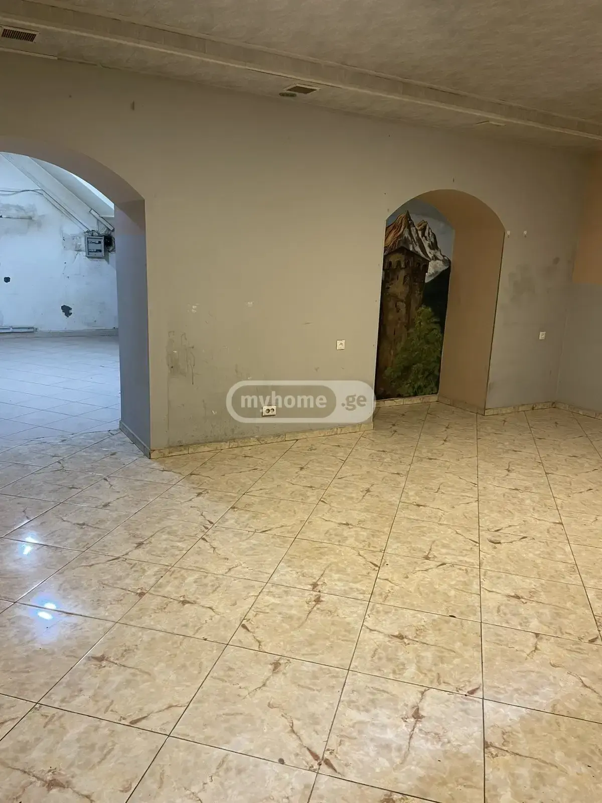 Universal Commercial Area For Rent In Nadzaladevi view 4