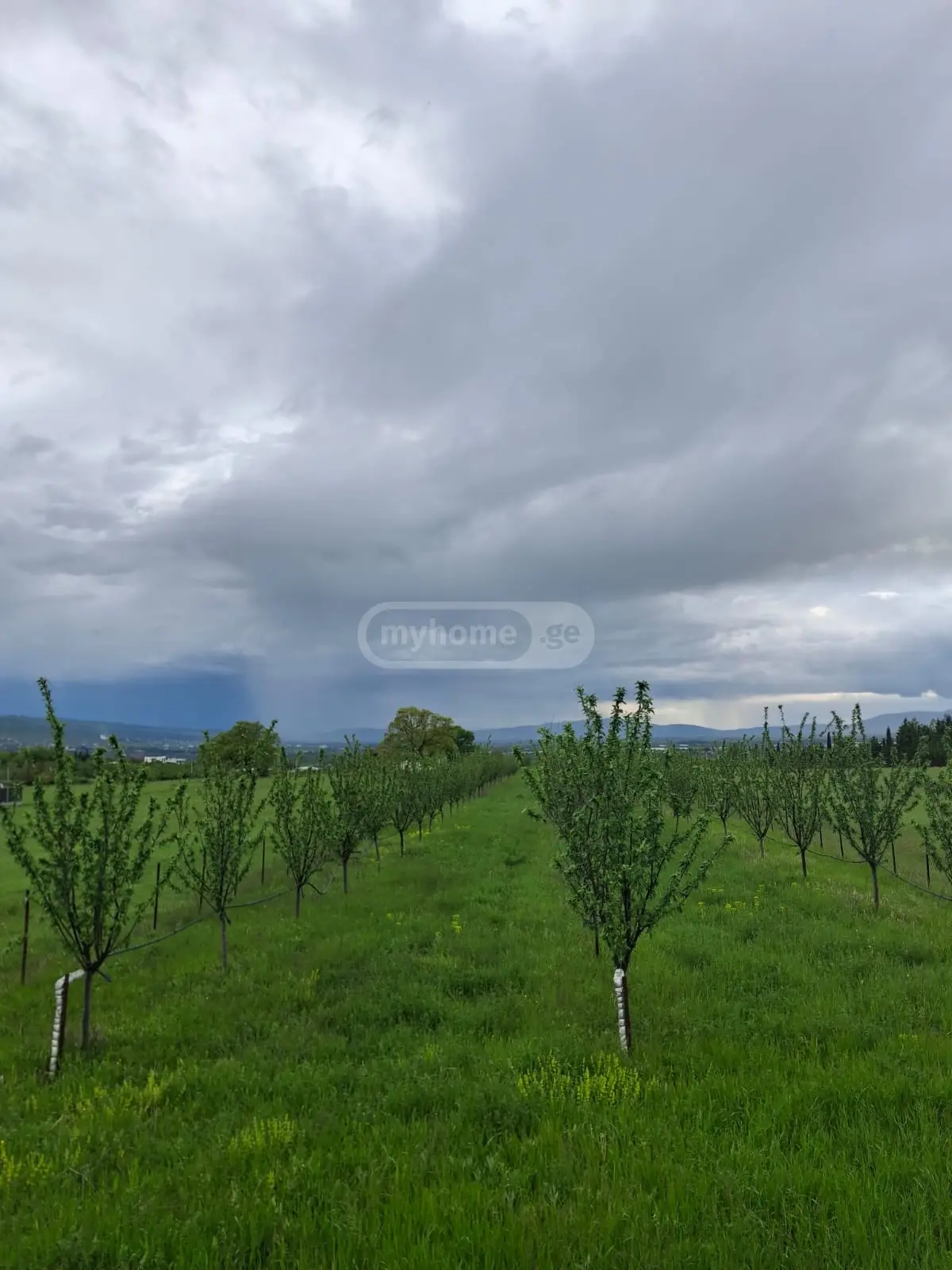 Agricultural Plot For Sale In Saguramo, In Mtskheta Municipality view 2