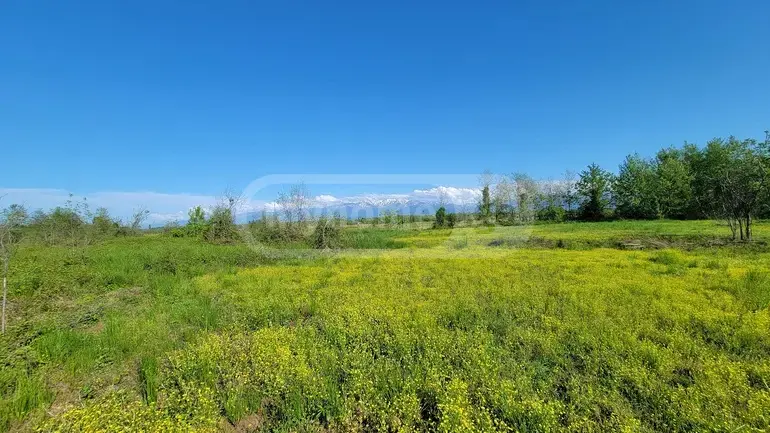 Agricultural Plot For Sale In Natanebi, In Ozurgeti Municipality view 4
