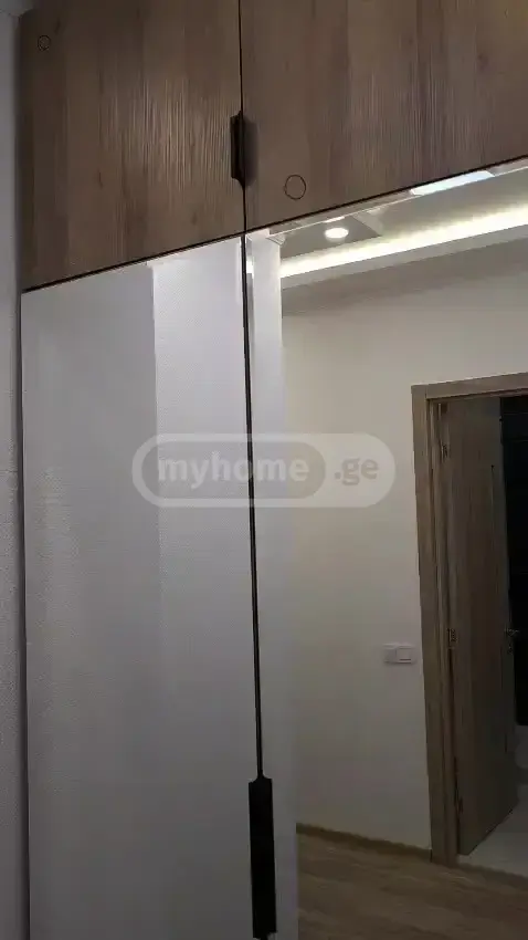 2 Room Apartment For Rent In Nadzaladevi view 6