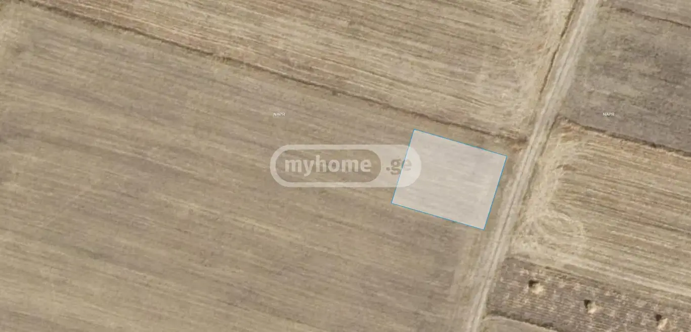 Agricultural Plot For Sale In Mlashe, In Dusheti Municipality view 1