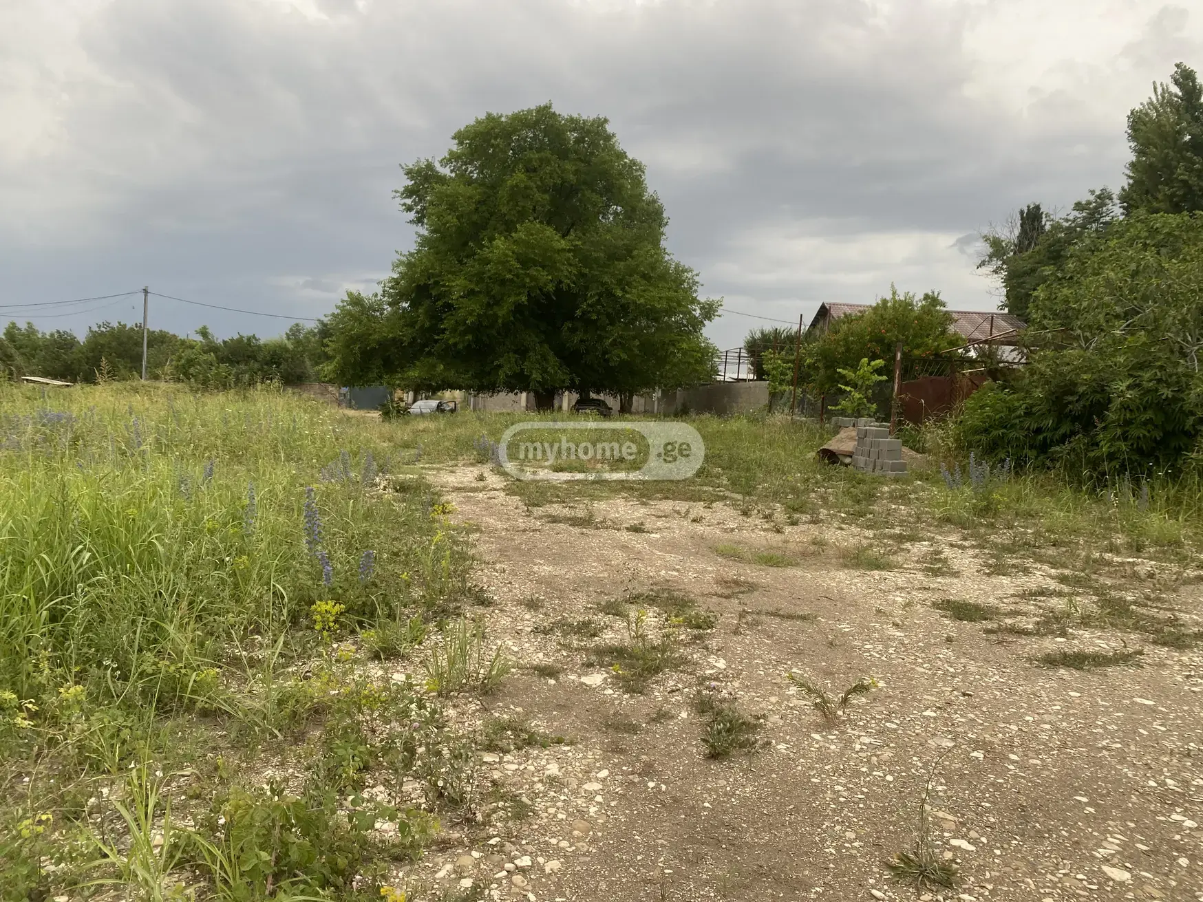 იყიდება Non-Agricultural Plot In Samgoriში view 1