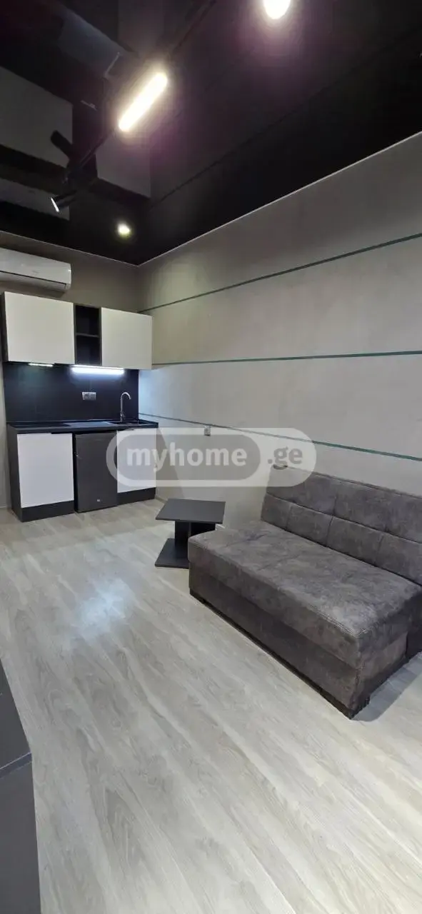 Universal Commercial Area For Sale In Krtsanisi view 7