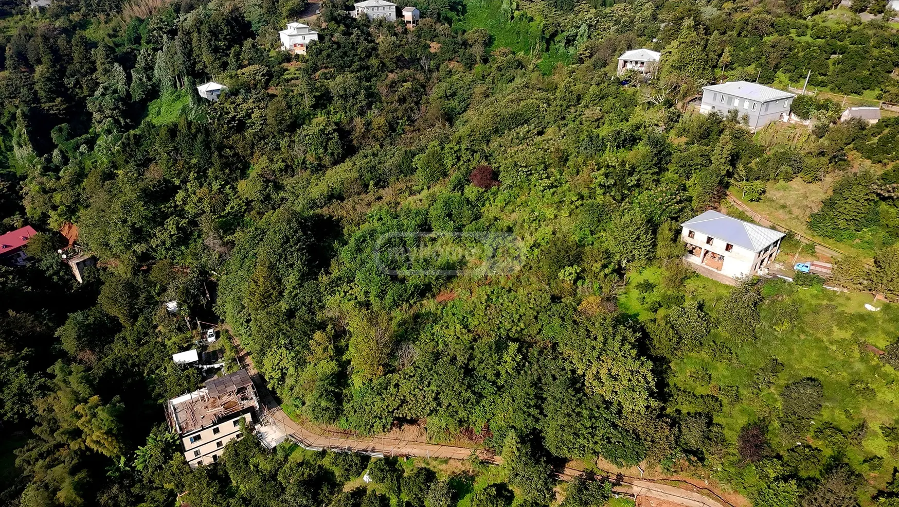 იყიდება Agricultural Plot In Kveda Achkva, In Kobuleti Municipalityში view 6