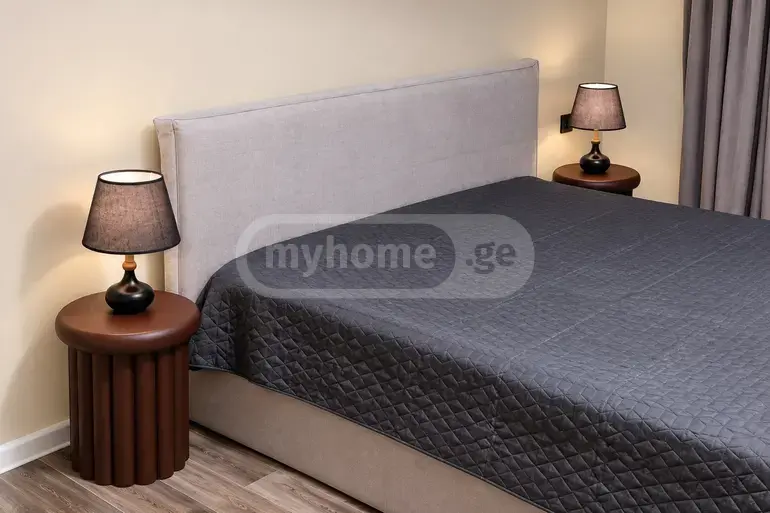 4 Room Apartment For Rent In Mtatsminda view 7