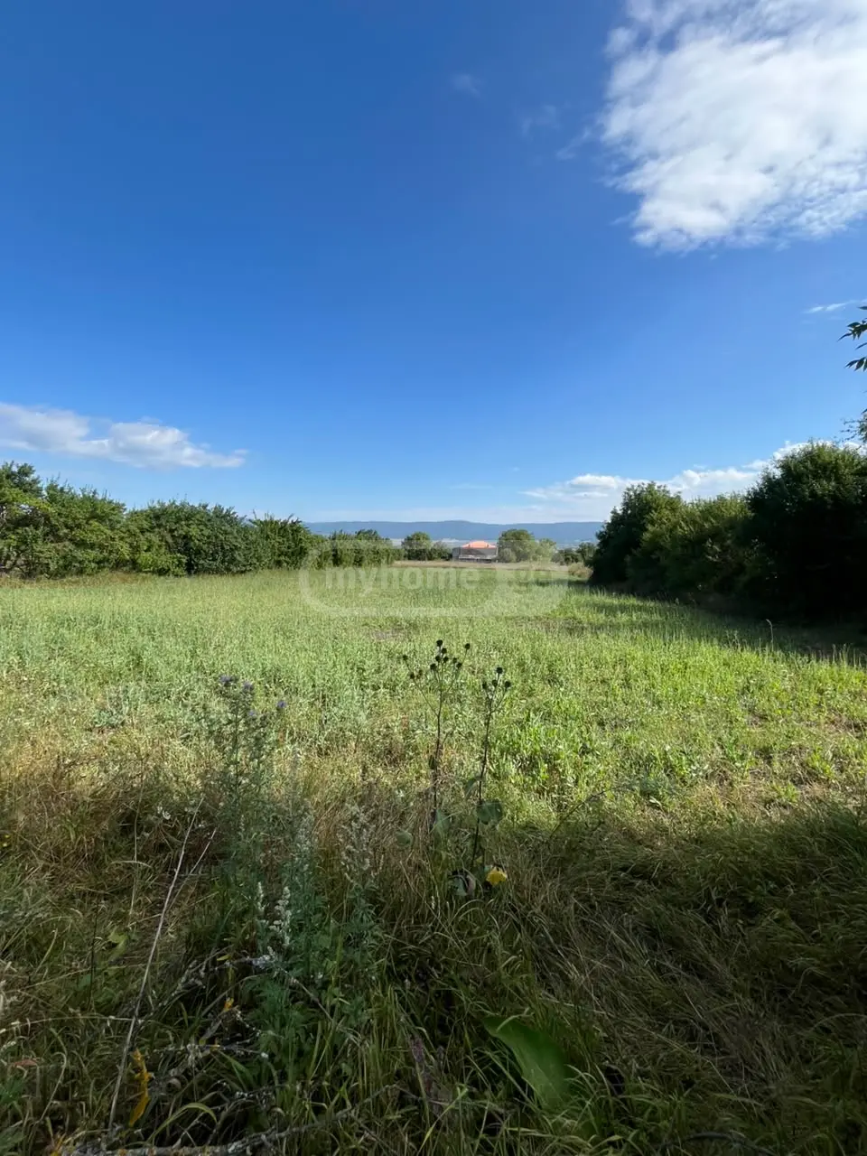 იყიდება Non-Agricultural Plot In Tianeti, In Tianeti Municipalityში view 4