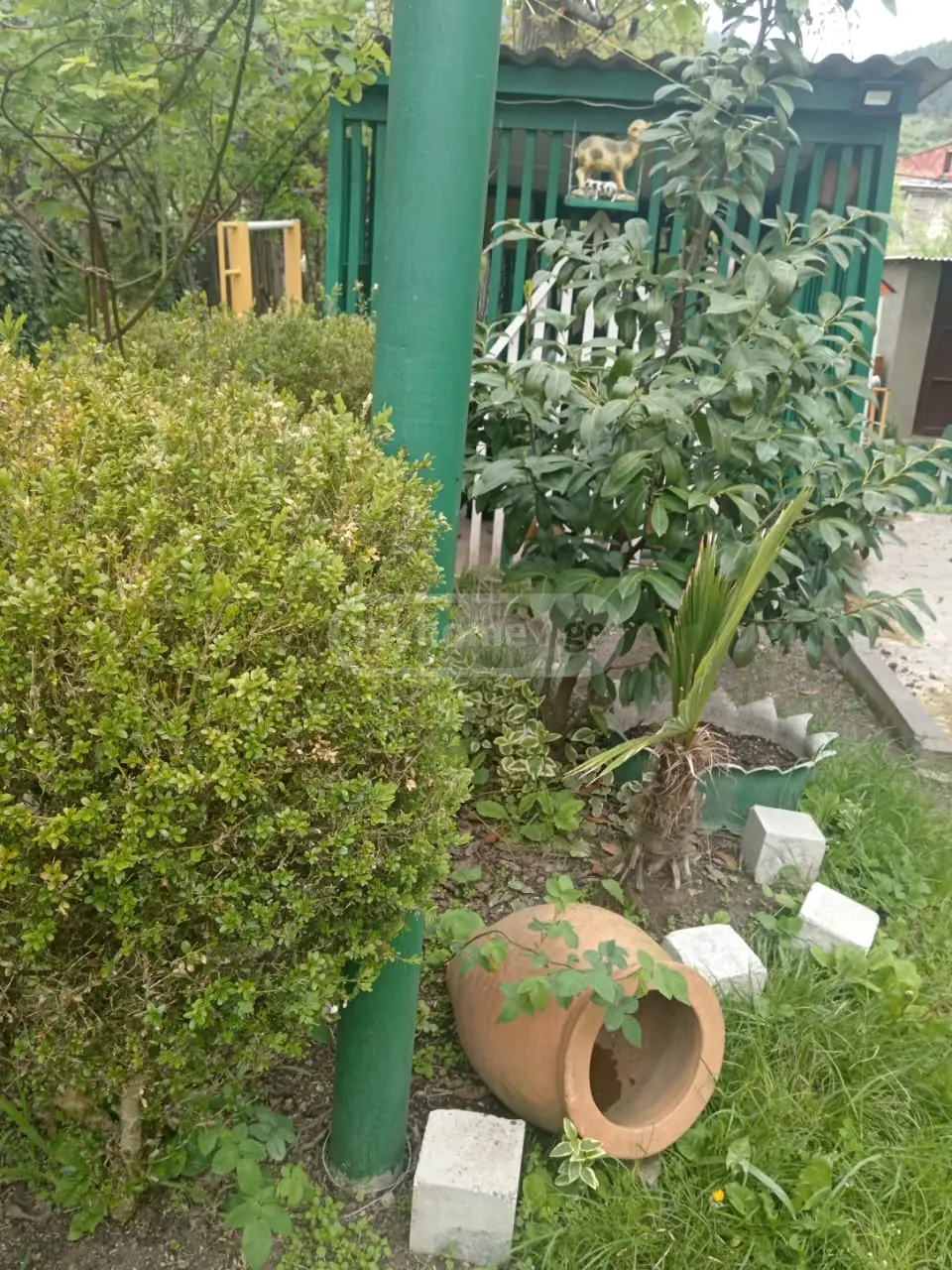 2 Room Apartment Daily Rent In Borjomi view 13