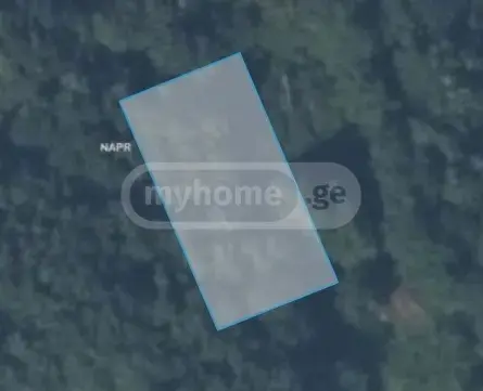 Agricultural Plot For Sale In Grigoleti, In Lanchkhuti Municipality view 6