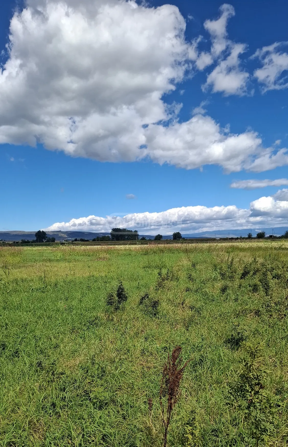 Agricultural Plot For Sale In Koda, In Tetritskaro Municipality view 2