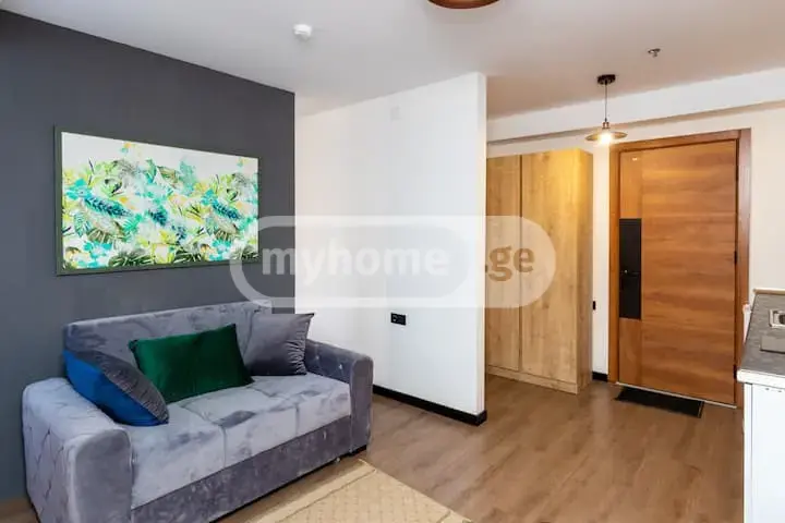 1 Room Apartment For Sale view 3