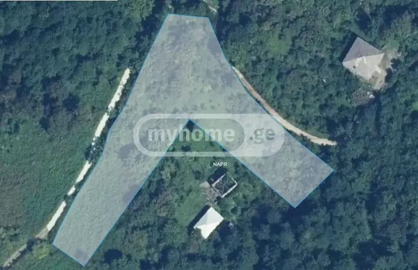 Agricultural Plot For Sale In Khutsubani, In Kobuleti Municipality view 1