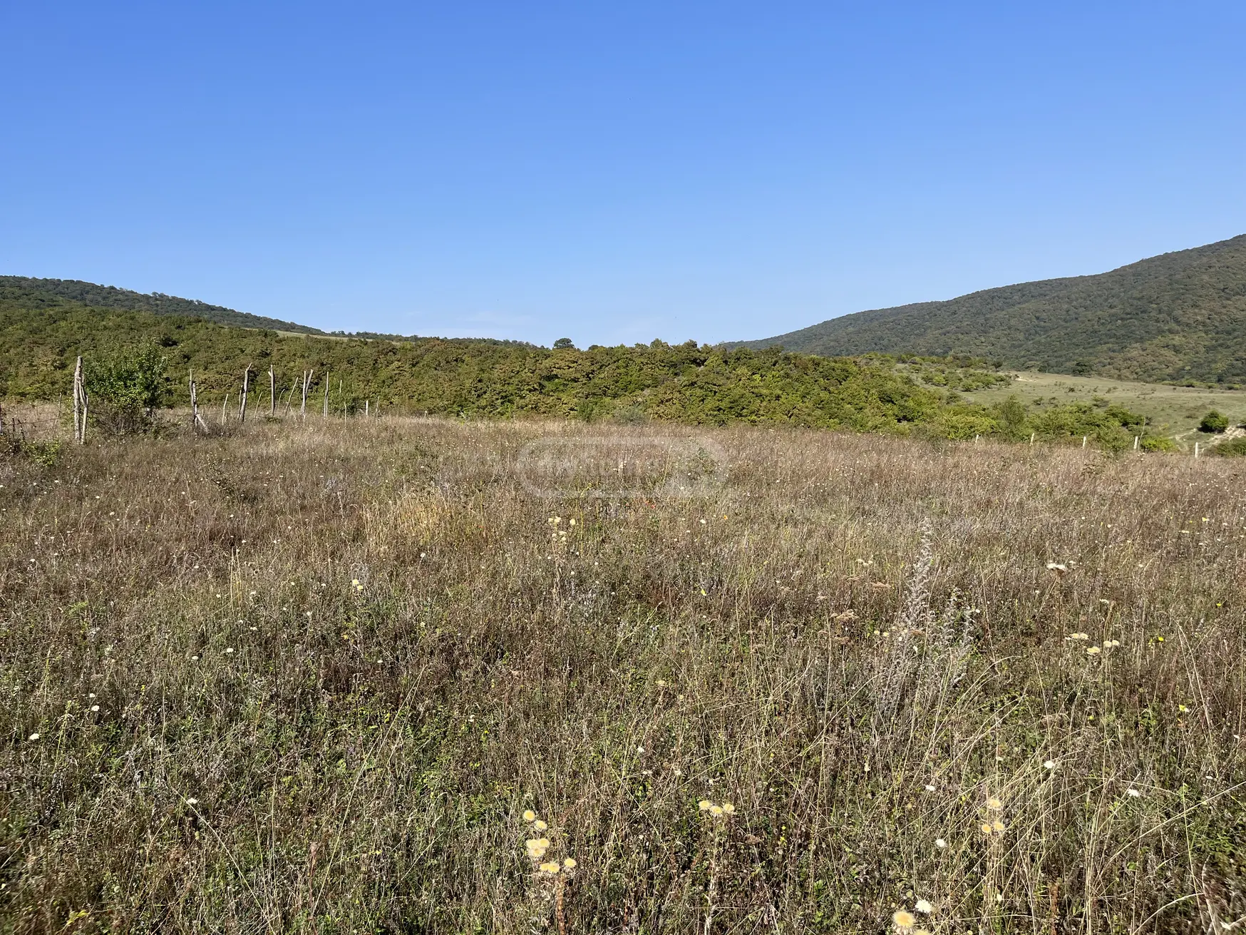 იყიდება Agricultural Plot In Mtskhetaში view 5