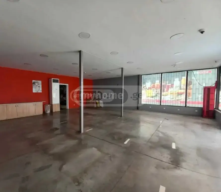 Universal Commercial Area For Rent In Nadzaladevi view 1