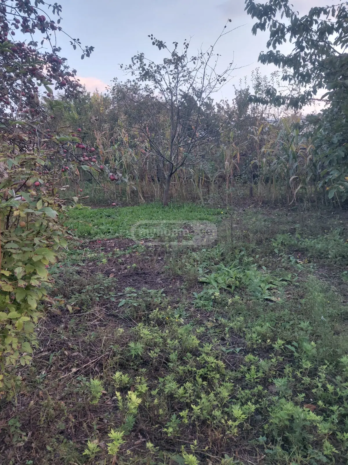 Agricultural Plot For Sale In Saguramo, In Mtskheta Municipality view 2