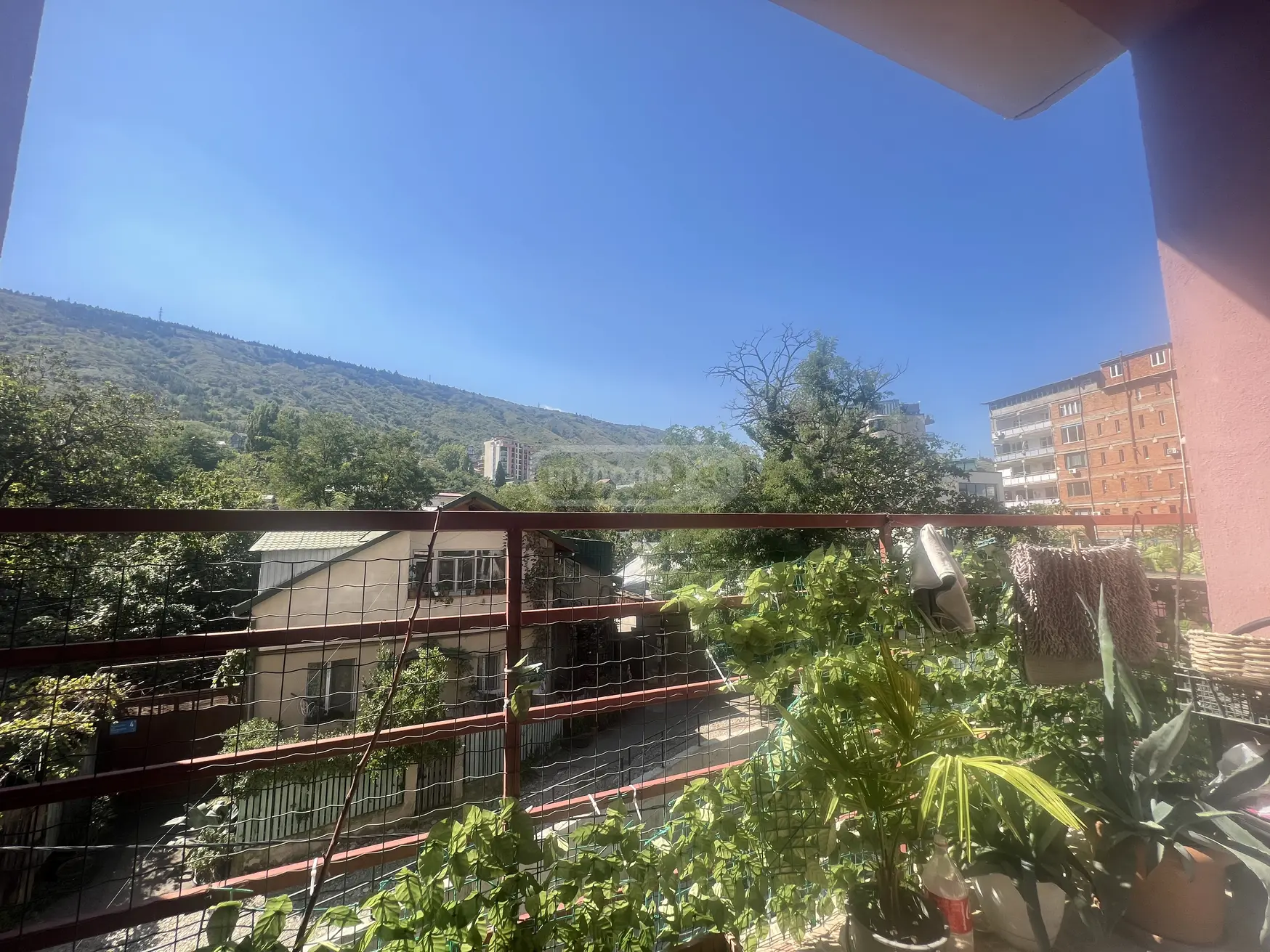 3 Room Apartment For Rent In Vera view 1