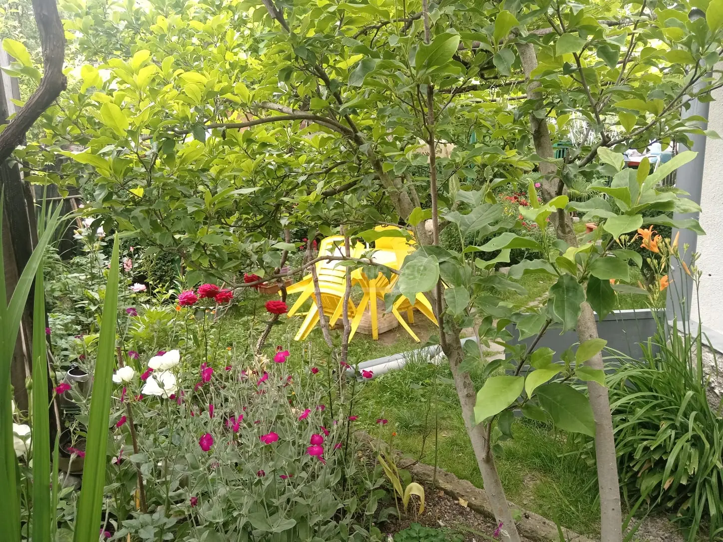 1 Room Apartment For Rent In Borjomi view 3