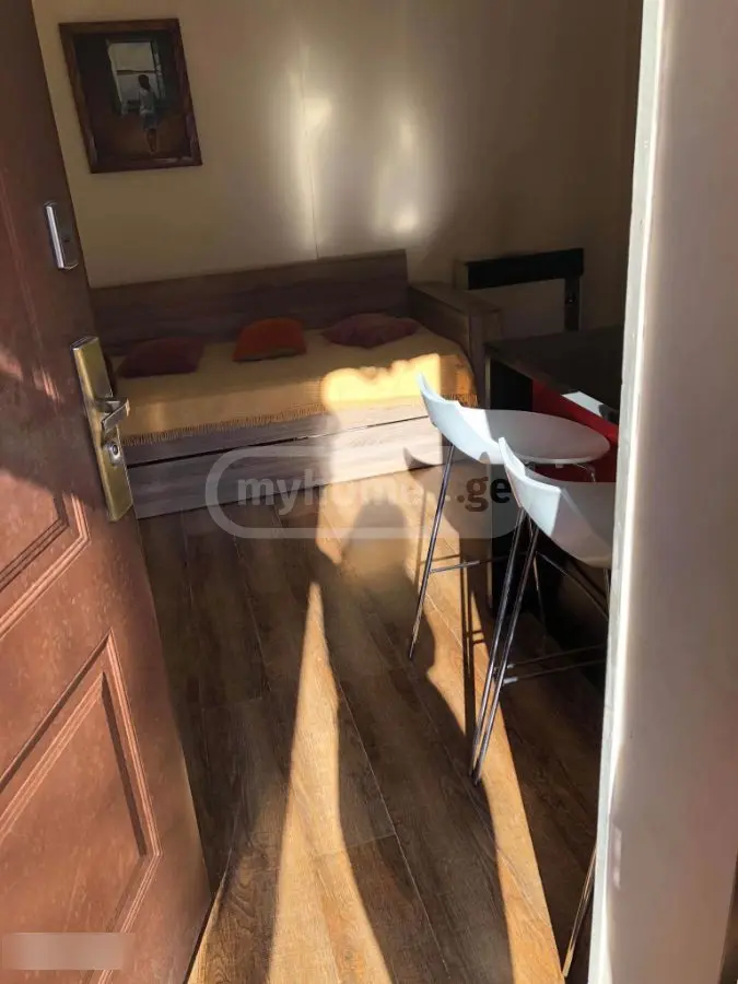1 Room Apartment For Rent In Sololaki view 7