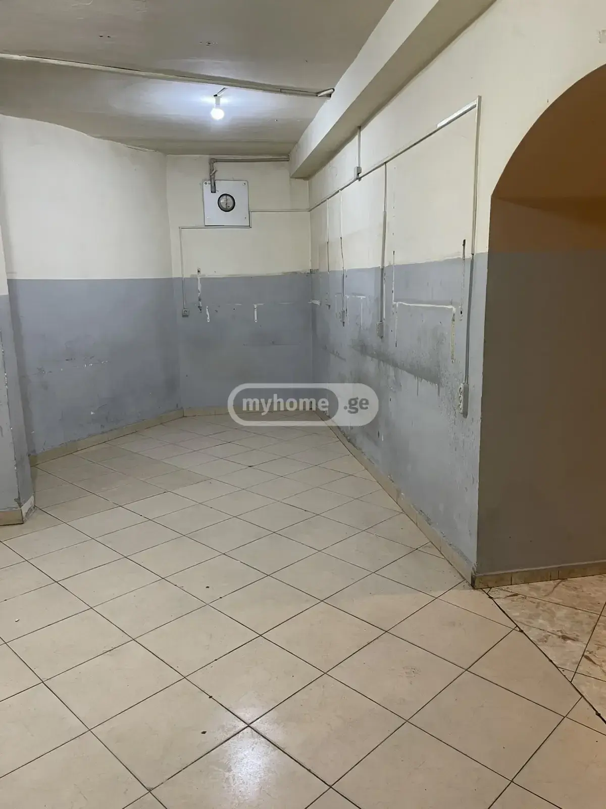 Universal Commercial Area For Rent In Nadzaladevi view 5