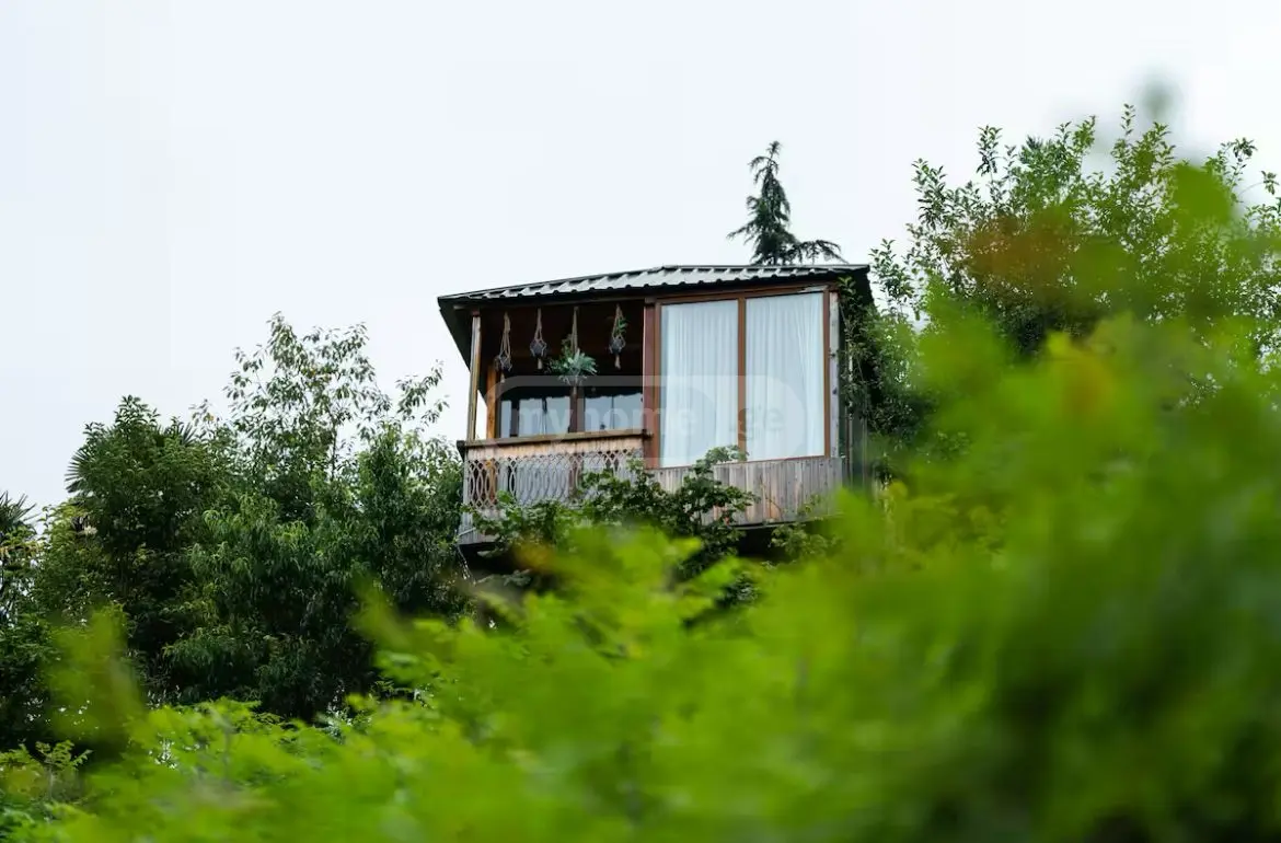 1 Room Private House Daily Rent In Boni-Gorodok District, In Batumi view 1