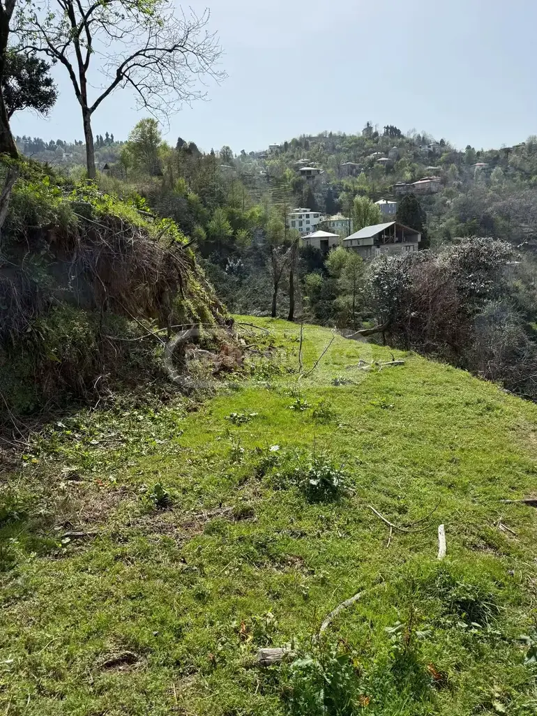 იყიდება Agricultural Plot In Akhalsopeli, In Khelvachauri Municipalityში view 5