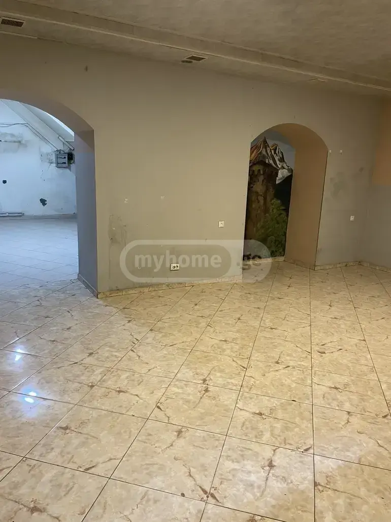 Universal Commercial Area For Rent In Nadzaladevi view 2