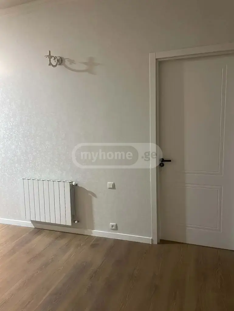 3 Room Apartment For Rent In Nadzaladevi view 8