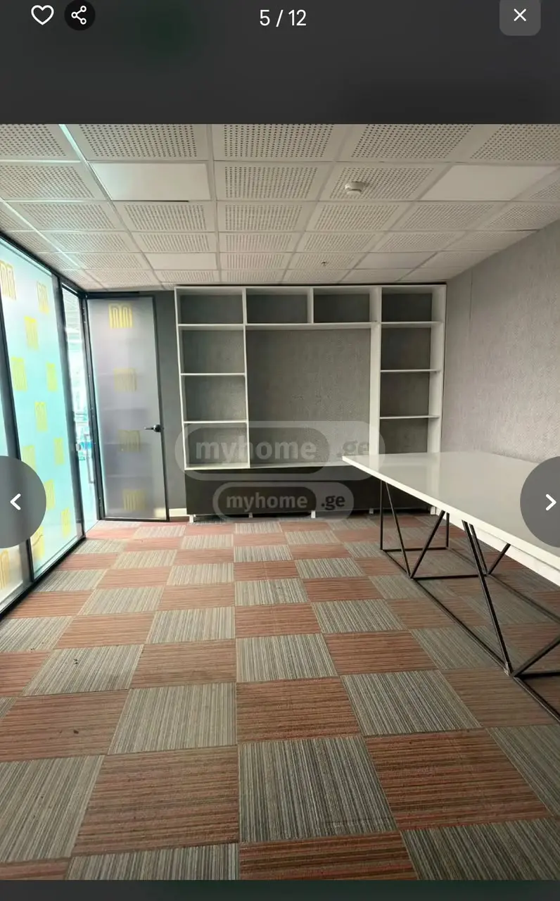 Universal Commercial Area For Rent In Nadzaladevi view 13