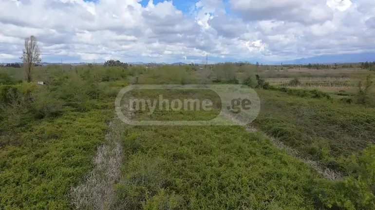 Agricultural Plot For Sale In Natanebi, In Ozurgeti Municipality view 3